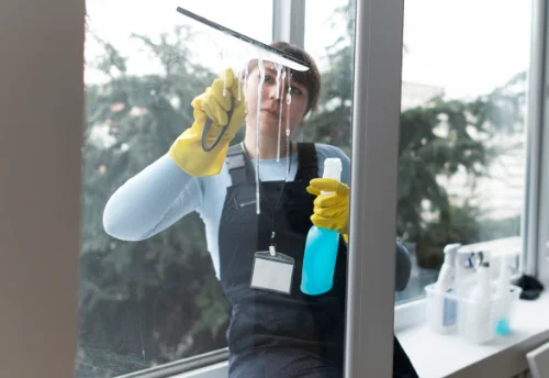 Nettoyage de vitres intérieures et extérieures à Puceul